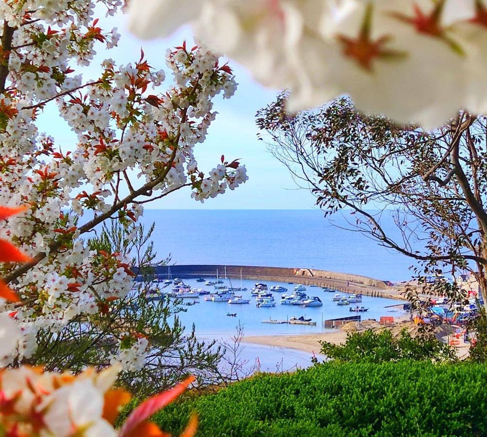 Apartmán Seabreeze Lyme Regis Exteriér fotografie