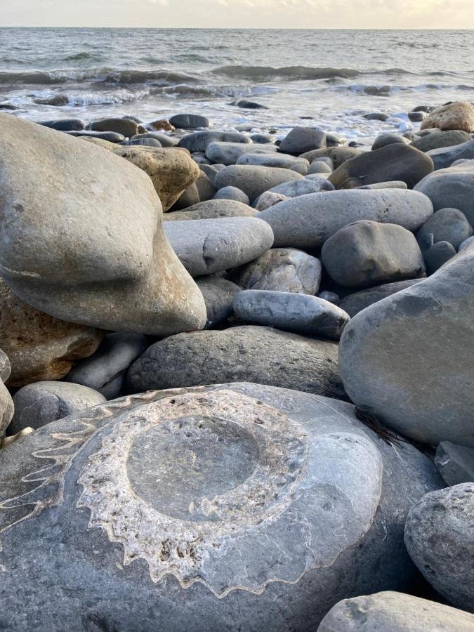 Apartmán Seabreeze Lyme Regis Exteriér fotografie